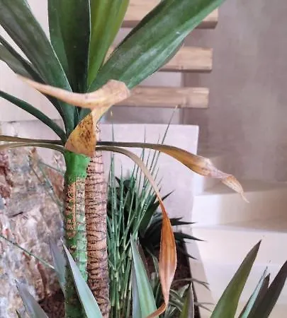 דירה Clockwise Earthy Vibe House In Apano Chora אנו סירוס